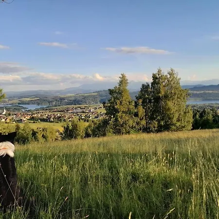 Cicha Blisko Natury アパート Mizerna