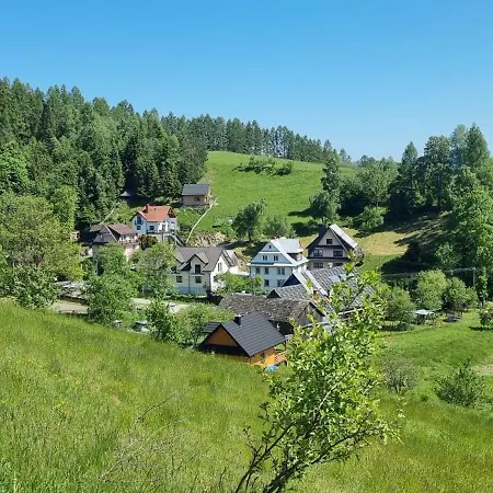 Cicha Blisko Natury Апартаменты Mizerna