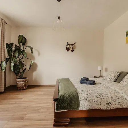 Cicha Blisko Natury アパート *