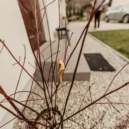 アパート Cicha Blisko Natury