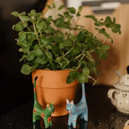 Cicha Blisko Natury * Mizerna