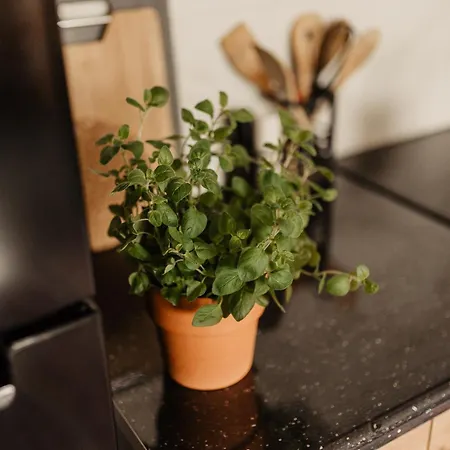 Cicha Blisko Natury *