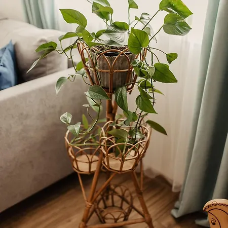 Cicha Blisko Natury アパート *