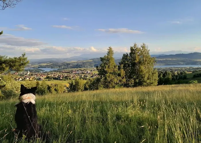 Cicha Blisko Natury Appartement Mizerna