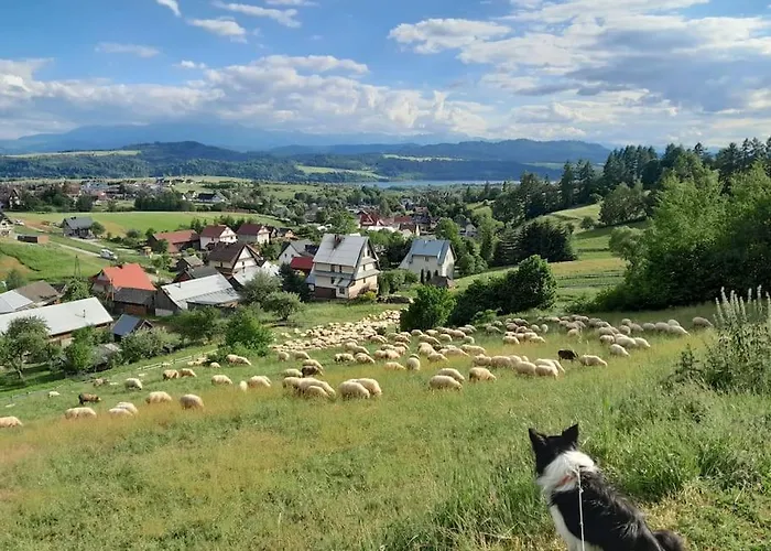 Appartement Cicha Blisko Natury Mizerna