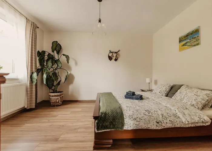 Cicha Blisko Natury Appartement *