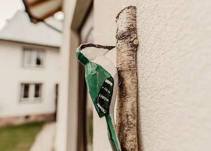 Cicha Blisko Natury Appartement Mizerna