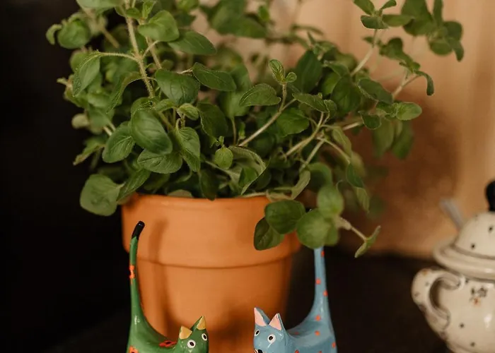 Cicha Blisko Natury * Mizerna