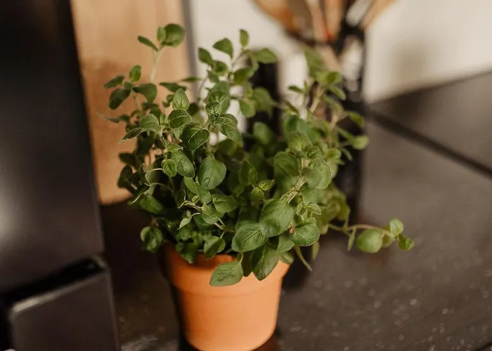 Cicha Blisko Natury *