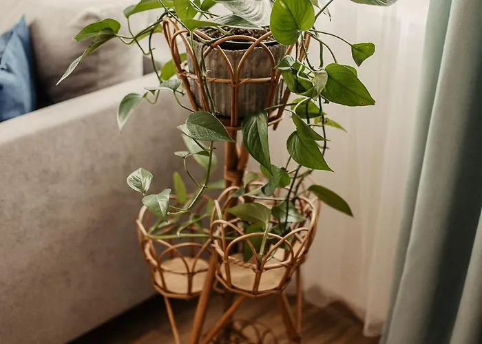 Cicha Blisko Natury Appartement *